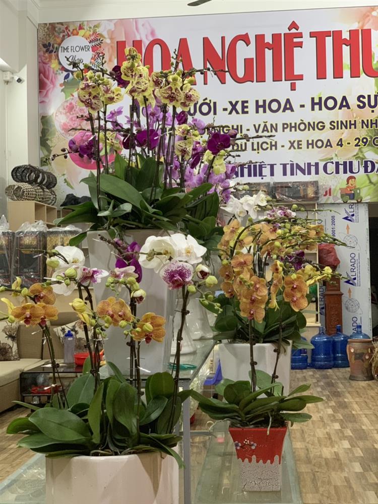 Shop hoa nghệ thuật Time Flower - thế giới hoa của gia đình bạn